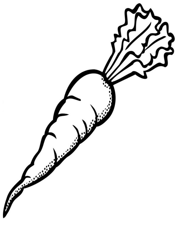 Coloring pages carrot coloring page for kids