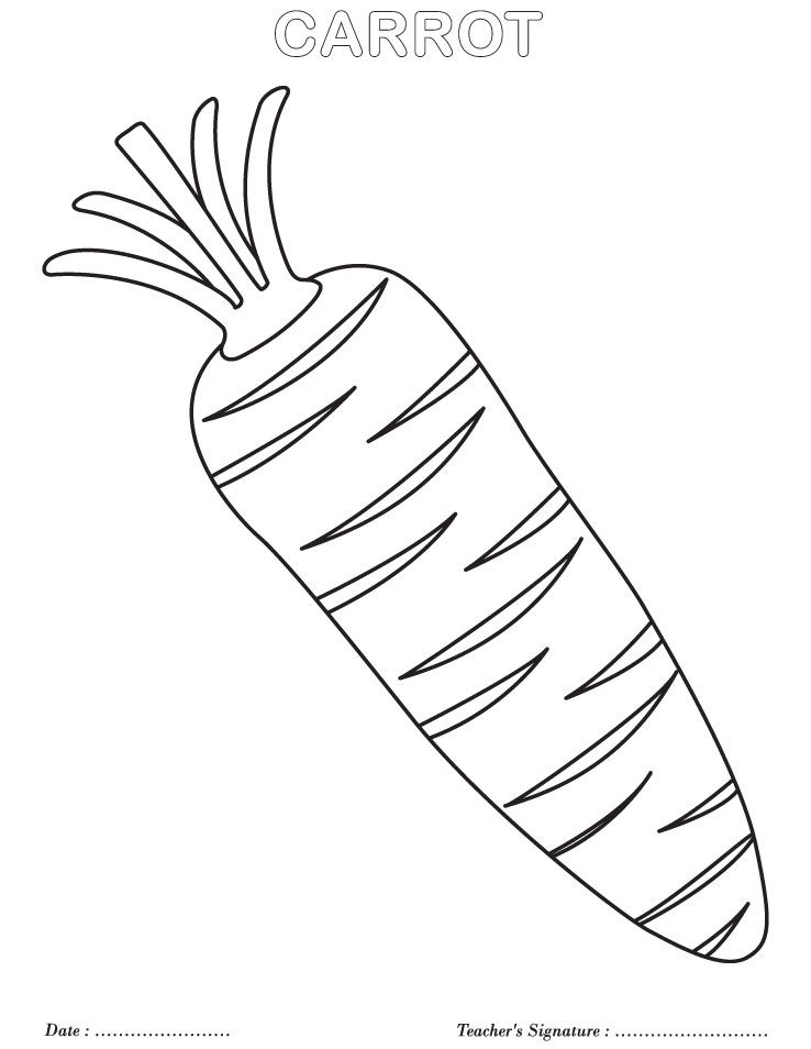 Carrot coloring page vegetable coloring pages coloring pages food coloring pages