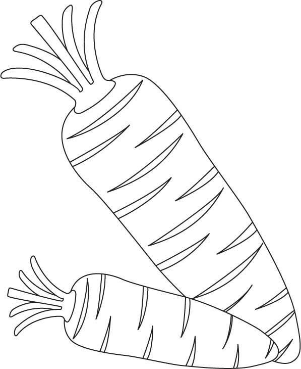 Juicy fresh two carrots coloring page download free juicy fresh two carrots coloring page for kids best coloring pages