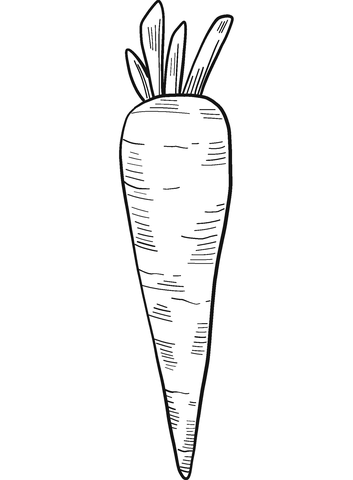 Carrot coloring page free printable coloring pages