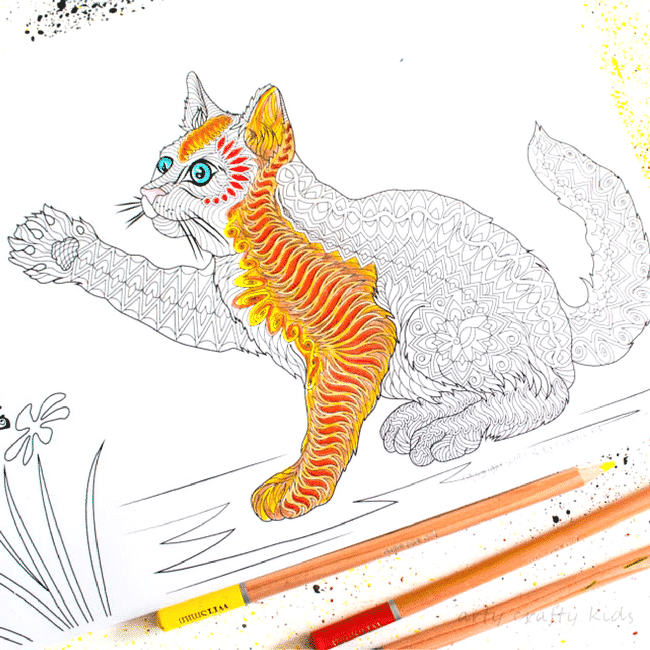 Free cat coloring page