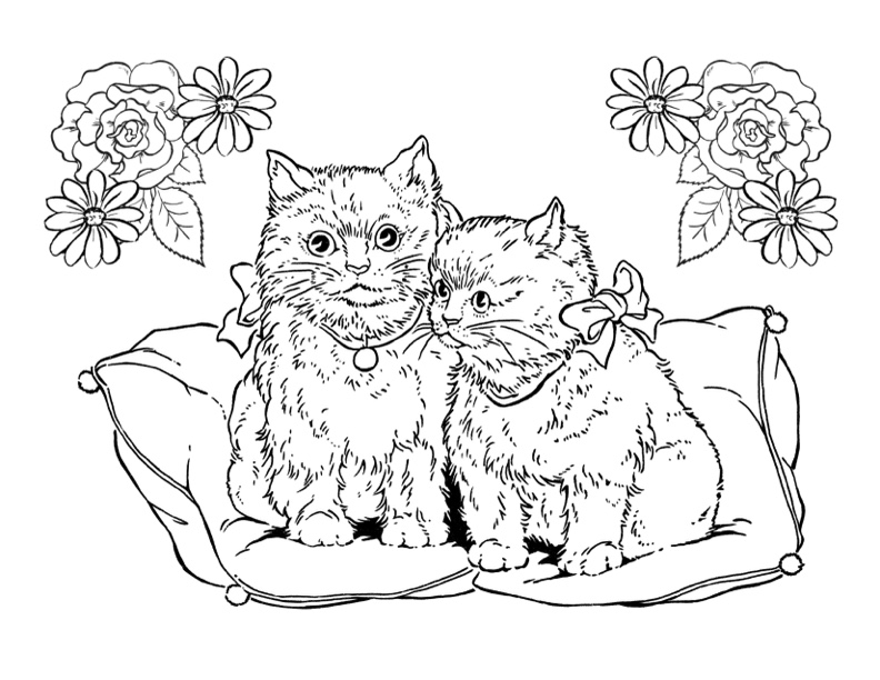 Cat coloring pages