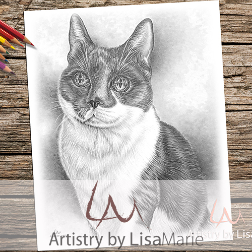 Sitting cat portrait grayscale printable coloring book page â artistry by lisa marie