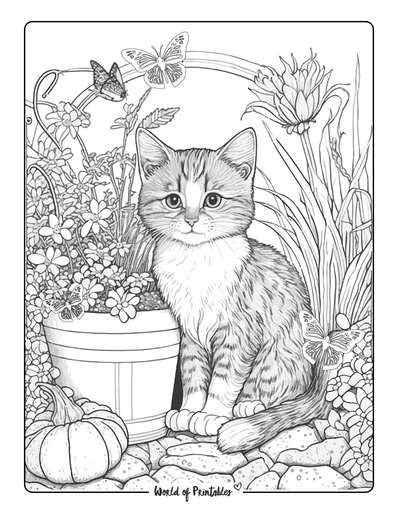 Cat coloring pages for kids adults