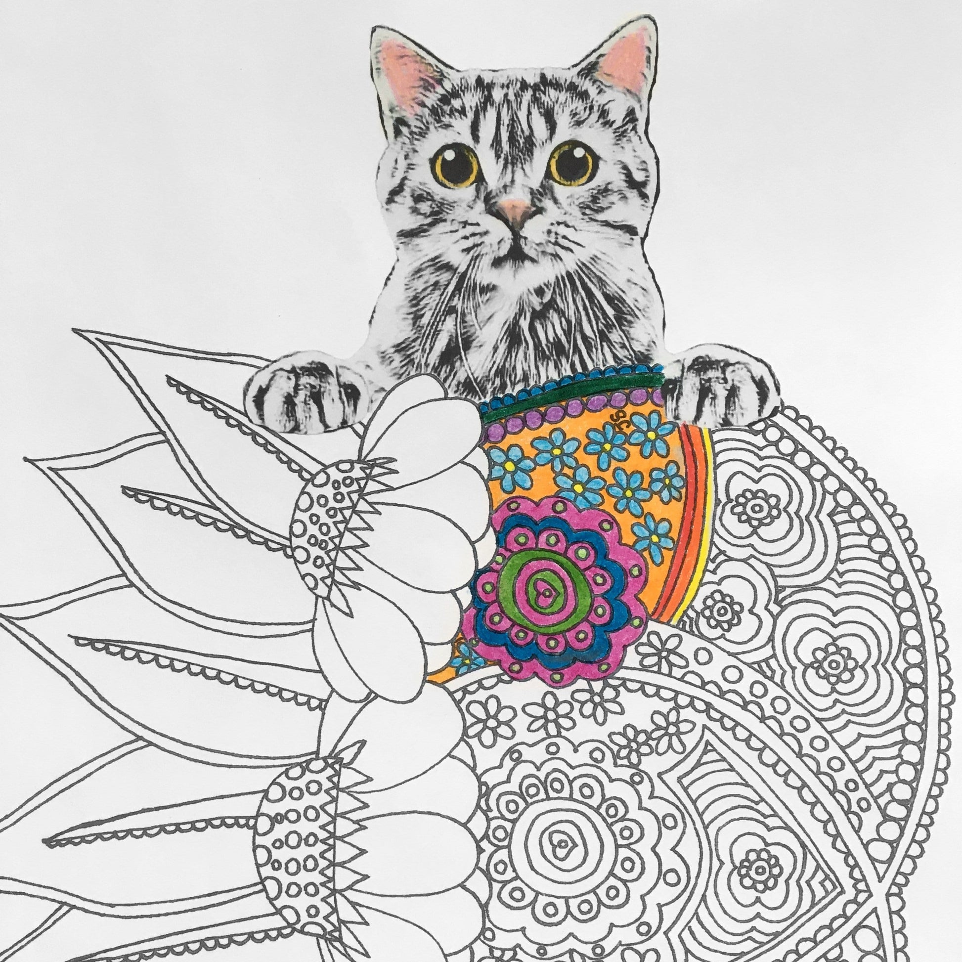 Digital download floral cat printable coloring pages for adults â knot by granma