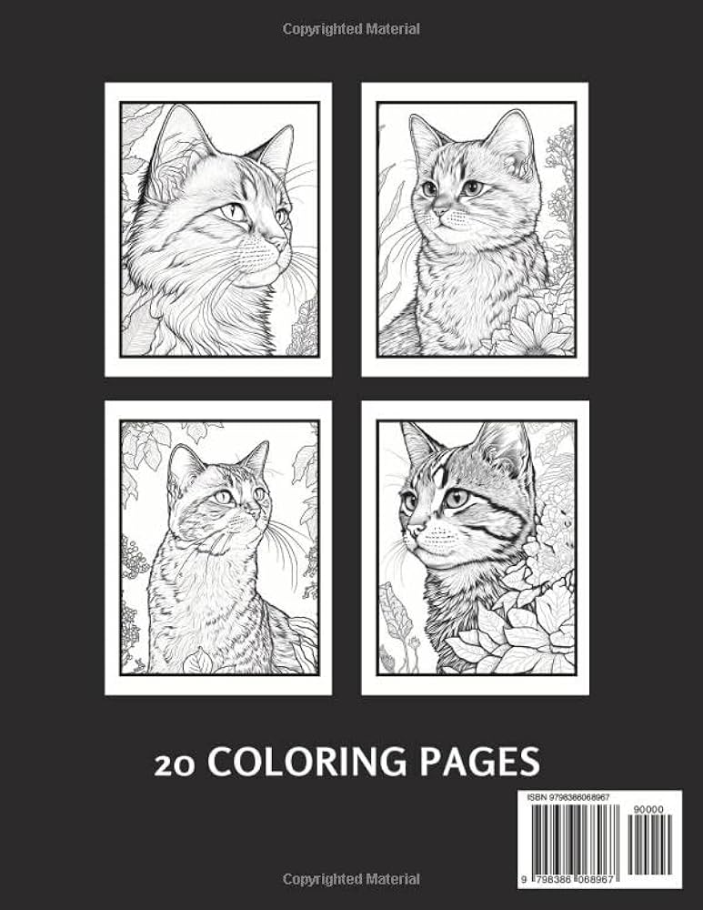 Large print cat coloring book for adults stress relief and relaxation for kitten and cat lovers press dd coloring books