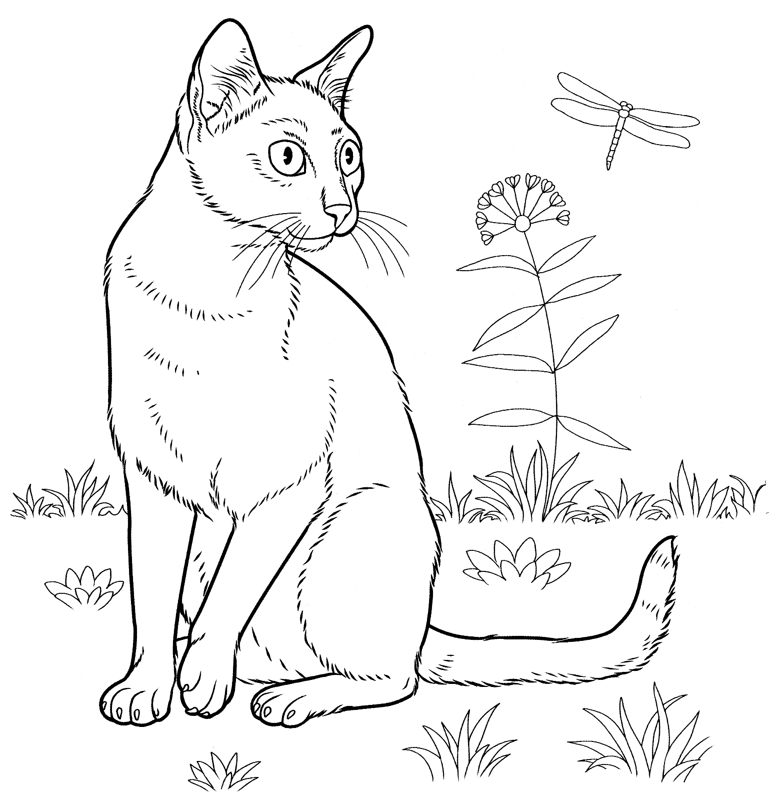 Cat coloring pages for adults