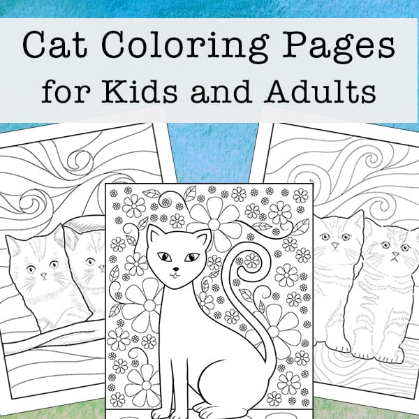 Cat coloring pages for kids and adults free printables