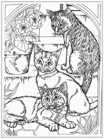 Free cat coloring pages for feline fans