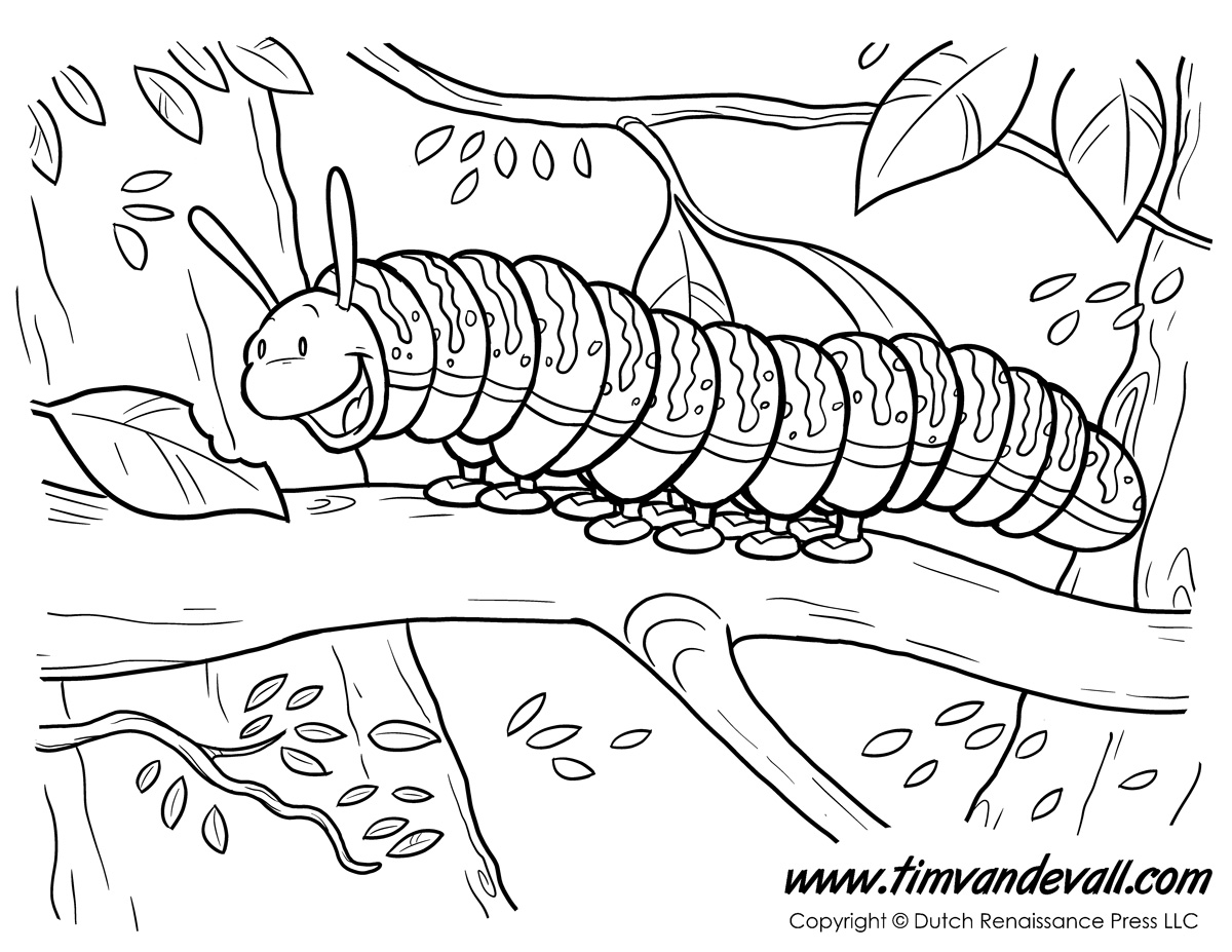 Caterpillar coloring page â tims printables