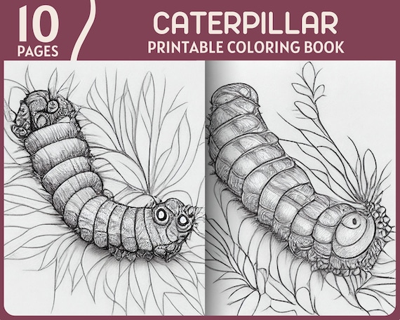 Caterpillar coloring pages realistic caterpillars printable coloring book nature theme animal coloring page