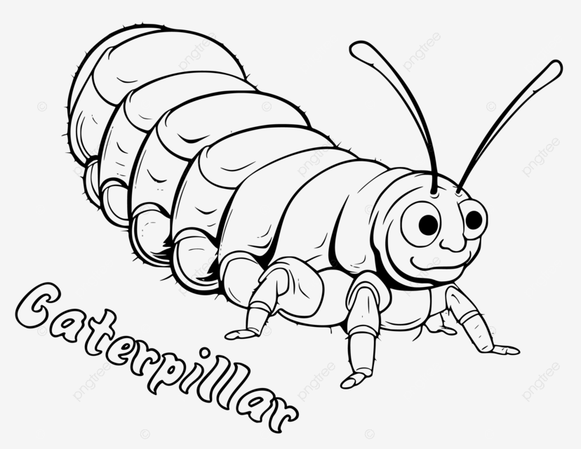 Caterpillar coloring page for kids i vector crayfish coloring pages drawing for kids crayfish coloring pages for kids lobster coloring pages printable png and vector with transparent background for free download