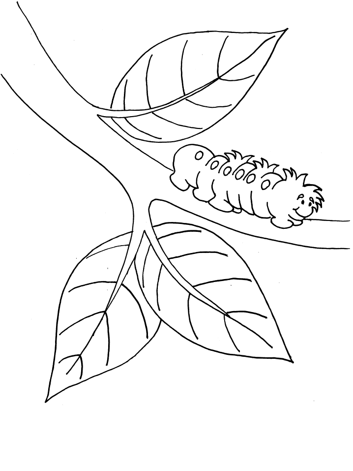 Caterpillar coloring book page