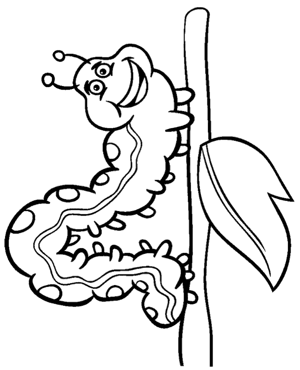 Millipede coloring page caterpillar