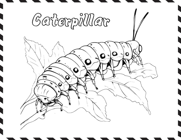 Premium vector caterpillar coloring page for kids