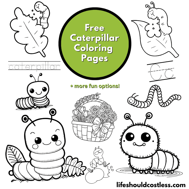 Caterpillar coloring pages free printable pdf templates