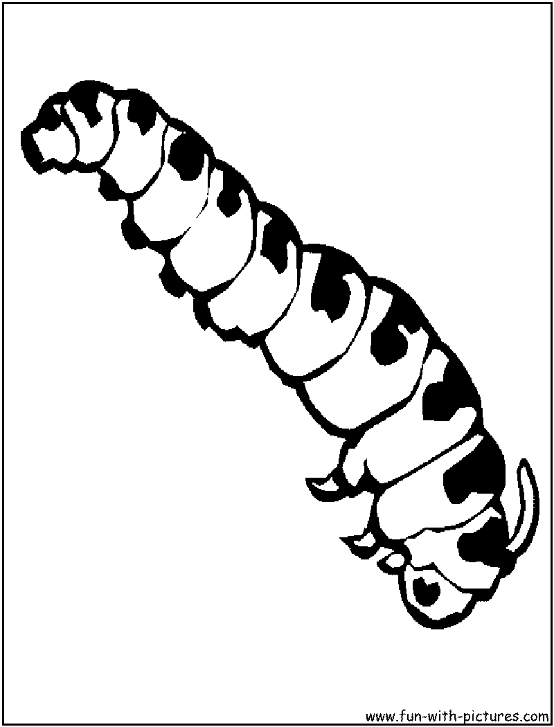 Insects coloring pages