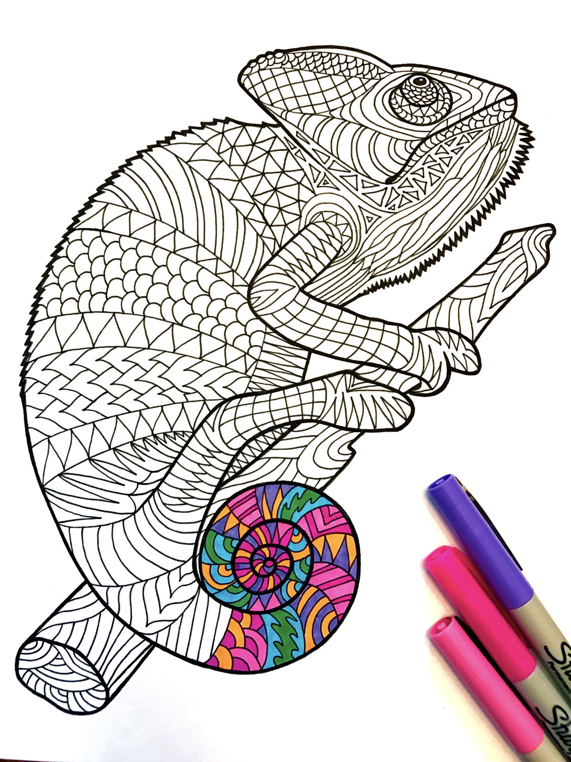 Chameleon â pdf zentangle coloring page â scribble stitch