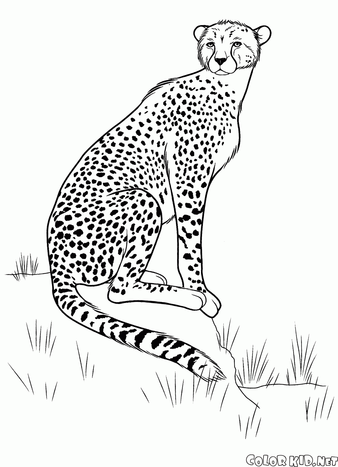 Coloring page