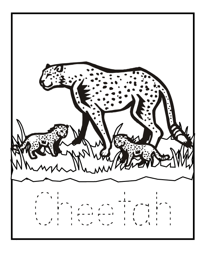 Cheetah coloring page