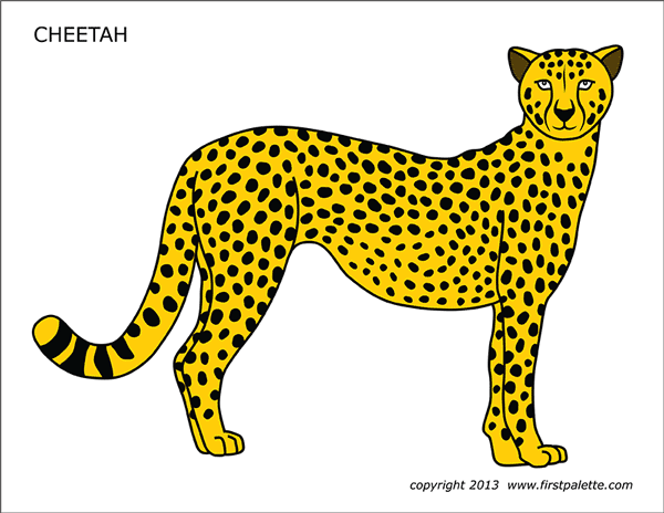 Cheetah free printable templates coloring pages