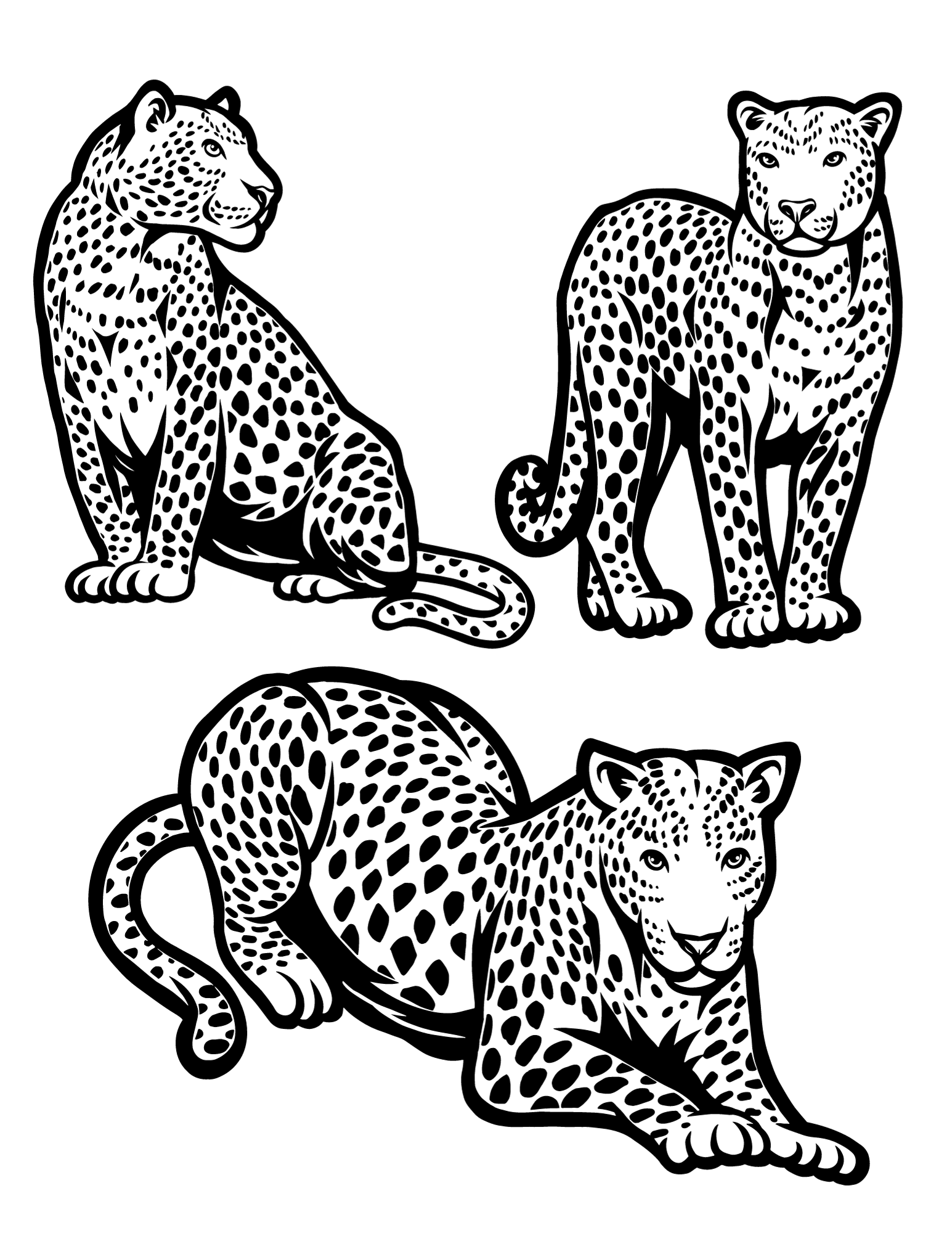 Cool cheetah coloring pages for kids and adults