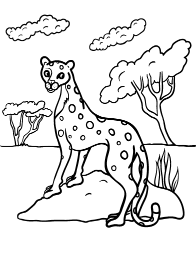 Free cheetah coloring page