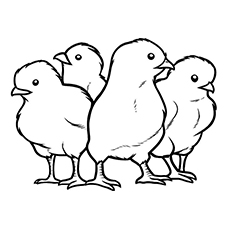 Top free printable cute chicks coloring pages online