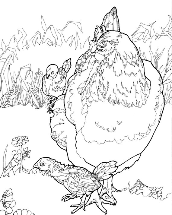 Digital download chicken coloring pages adult coloring pages chicken and chicks bird adult coloring pages coloring pages digital download