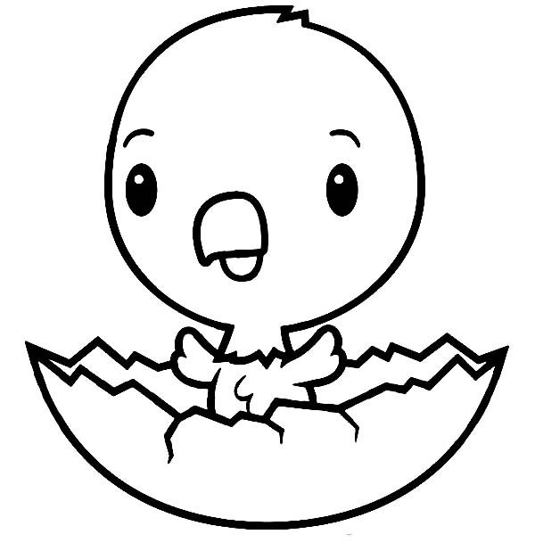 Chick coloring page