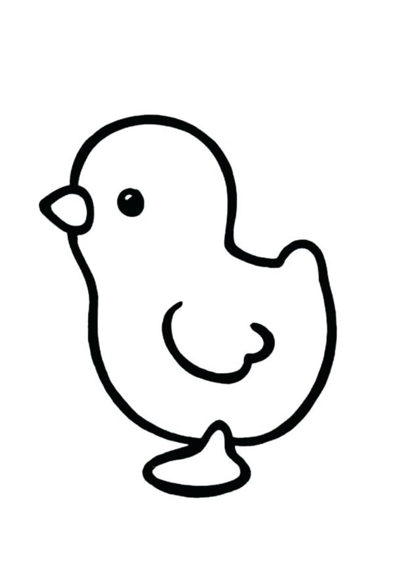 Cute chicken coloring pages pdf for children