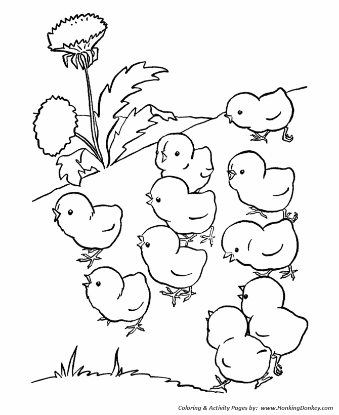 Farm animal coloring pages baby chicks coloring page and kids activity sheet