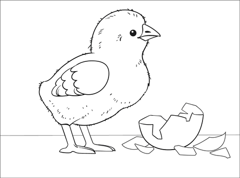 Chick coloring page free printable coloring pages