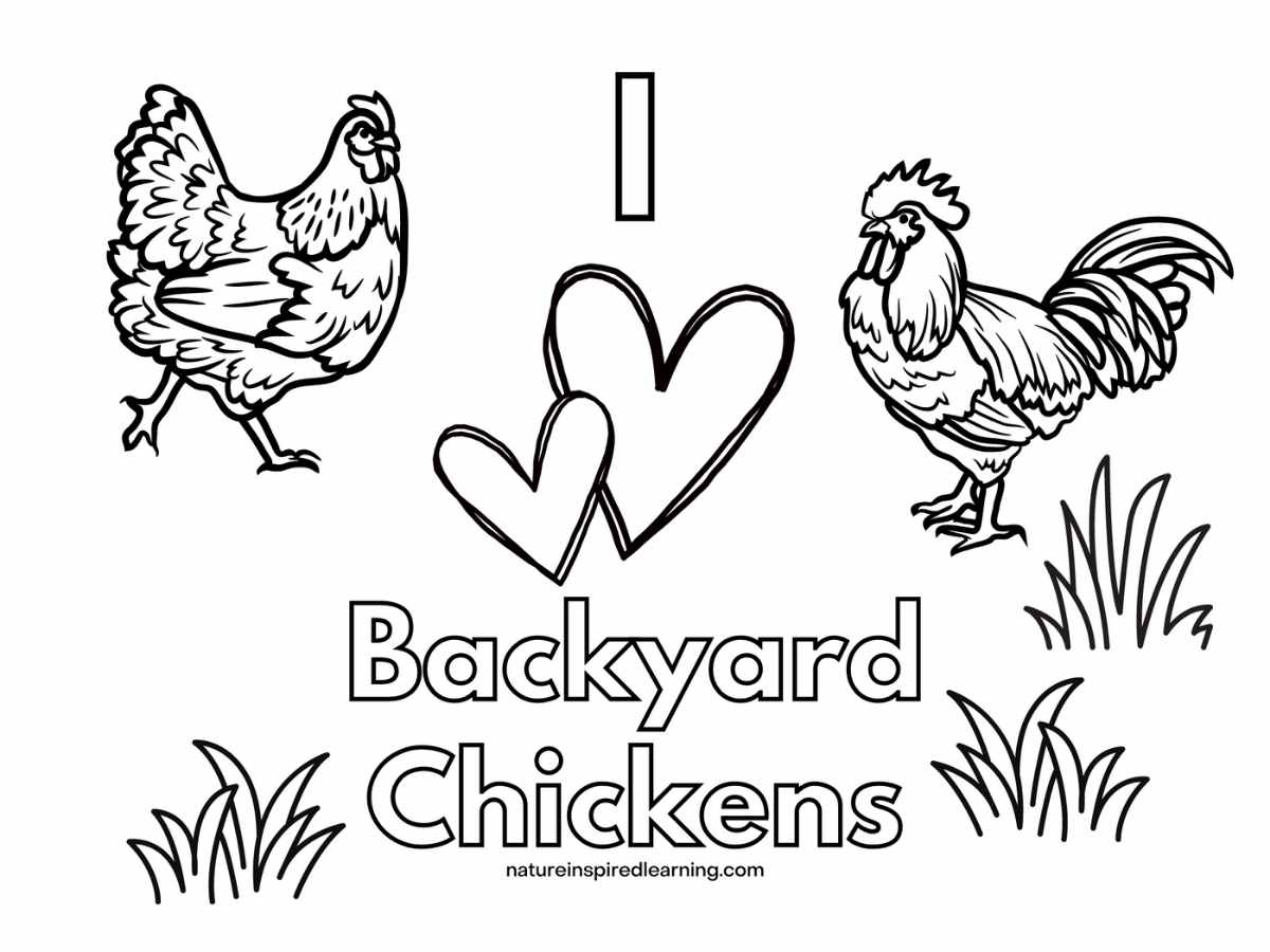 Adorable chicken coloring pages