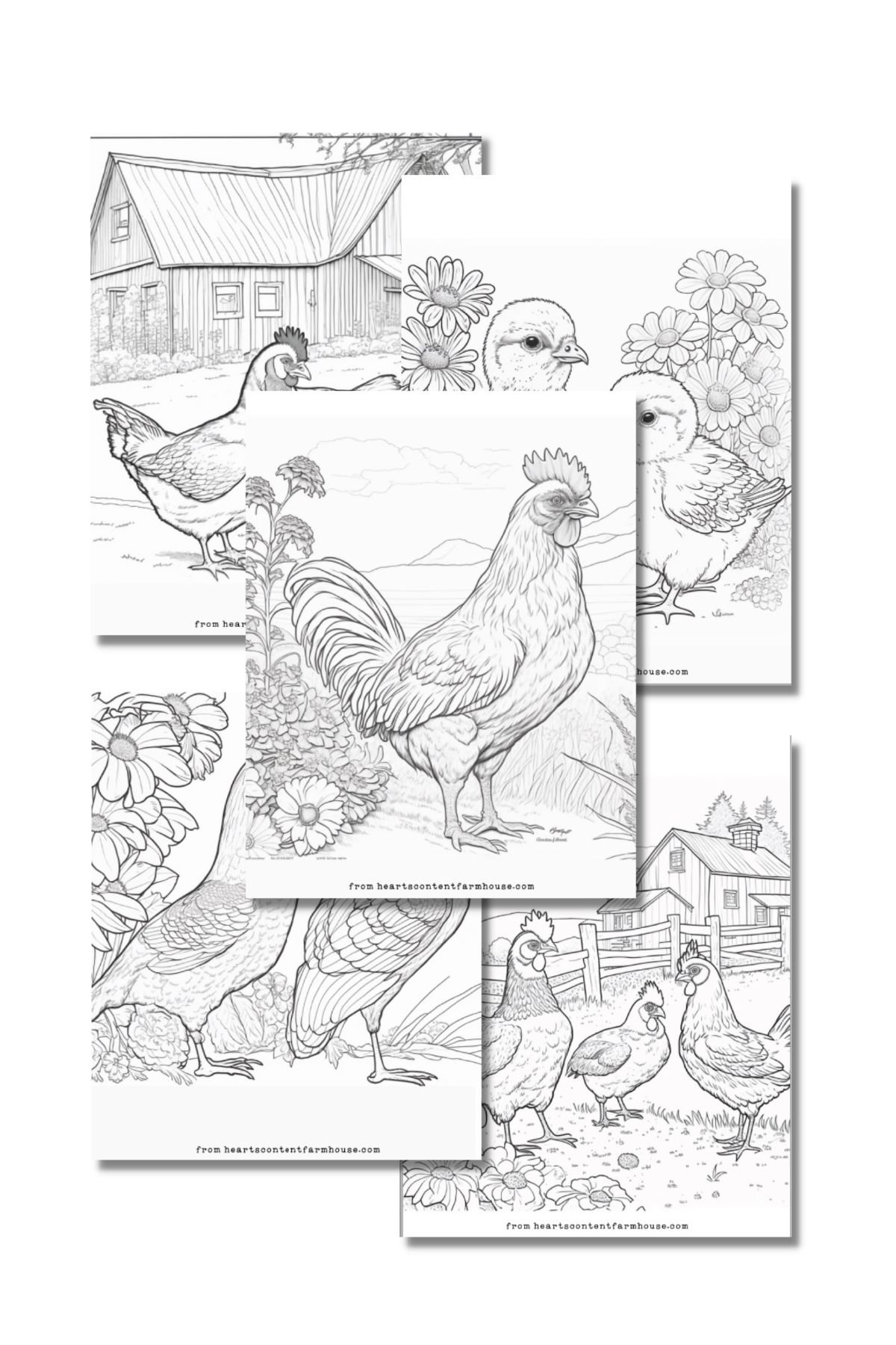 Free chicken coloring pages kid and adult versions hearts content farmhouse