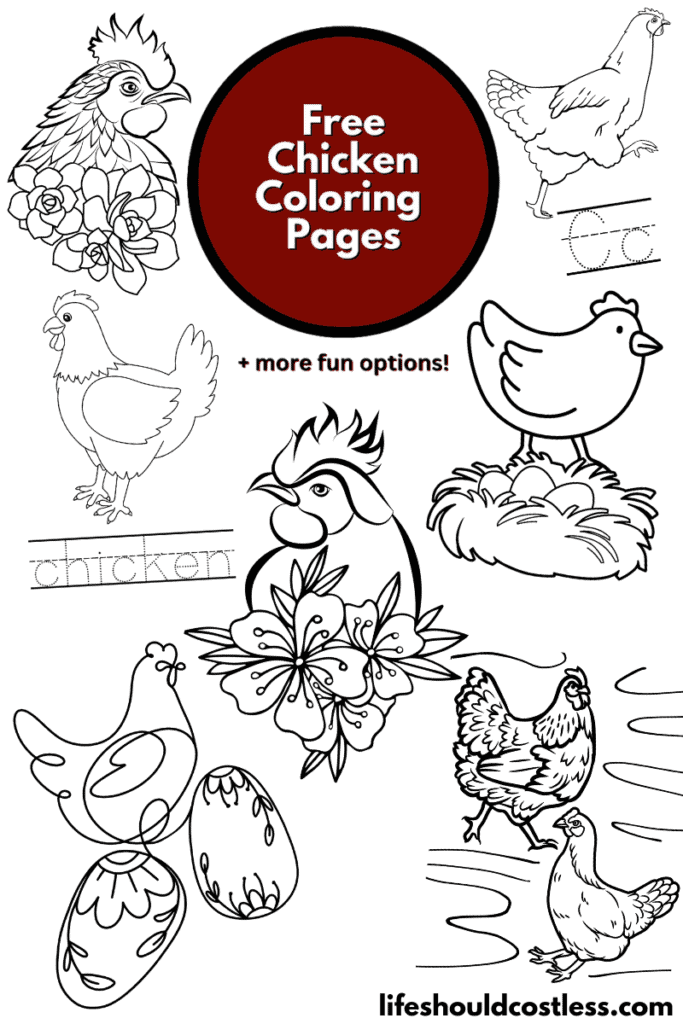 Chicken coloring pages free printable pdf templates