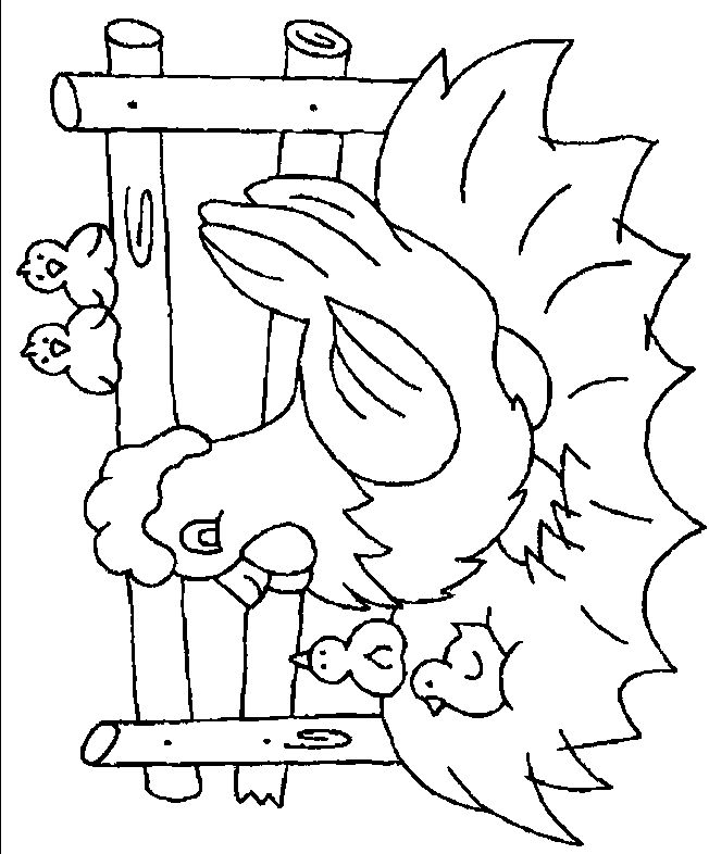 Chicken coloring page