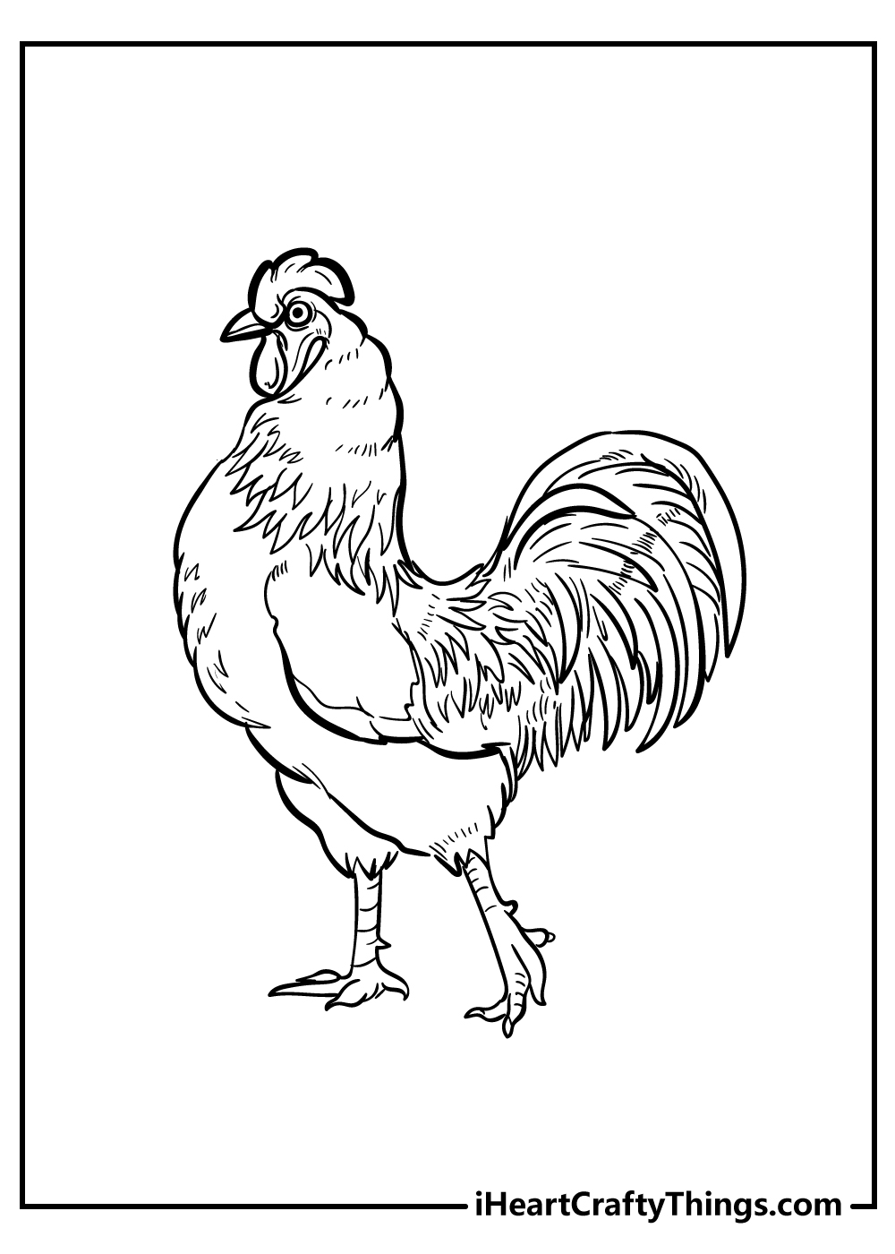 Chicken coloring pages free printables