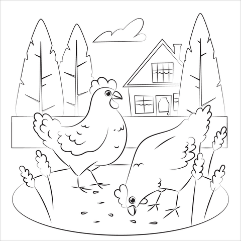 Chicken coloring page free printable coloring pages