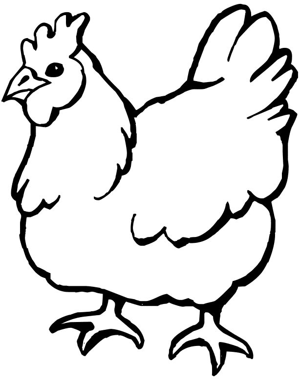 Chicken coloring pages