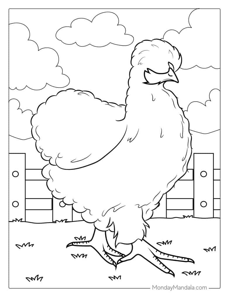 Chicken coloring pages free pdf printables