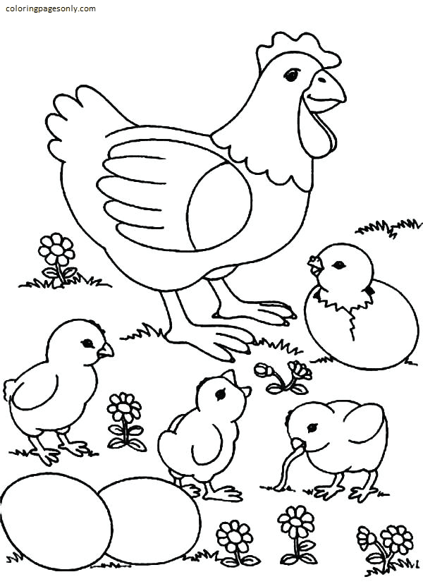 Chicken coloring pages printable for free download