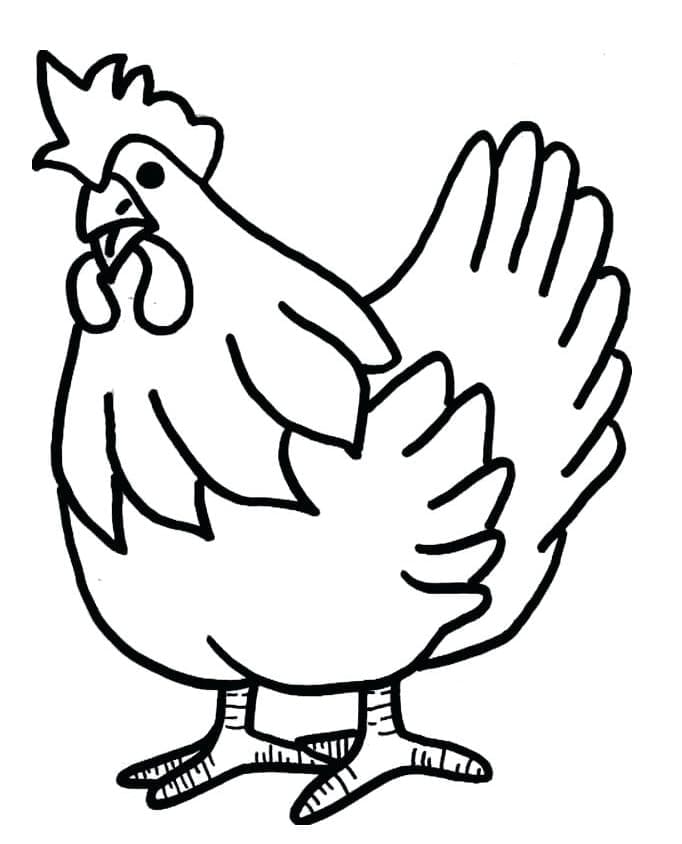 Chicken coloring pages