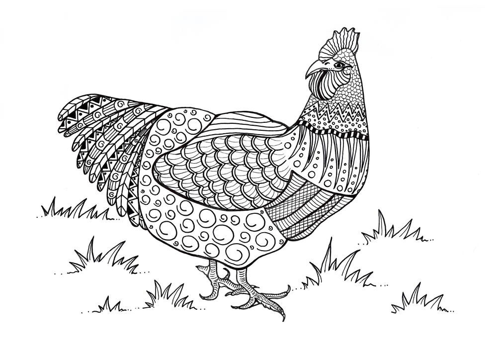 Colorful chicken adult coloring page