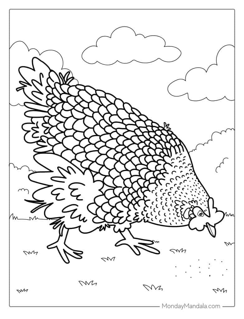 Chicken coloring pages free pdf printables