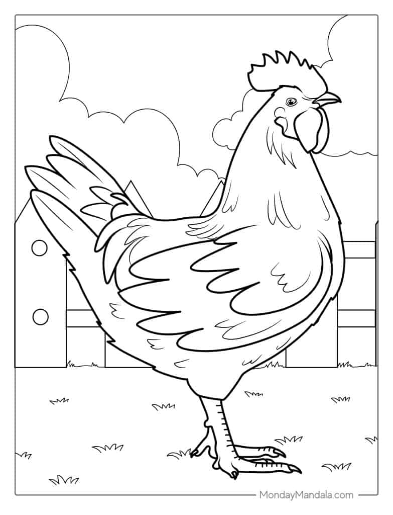 Chicken coloring pages free pdf printables