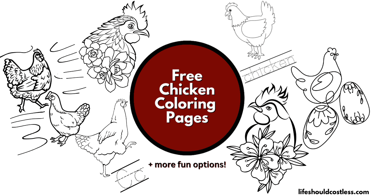 Chicken coloring pages free printable pdf templates