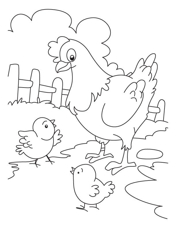 Rooster and hen coloring pages