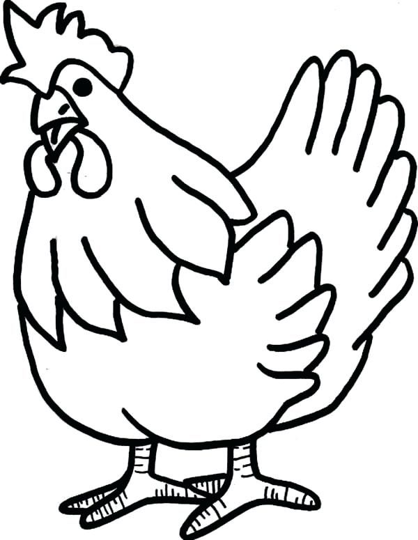 Chicken coloring pages