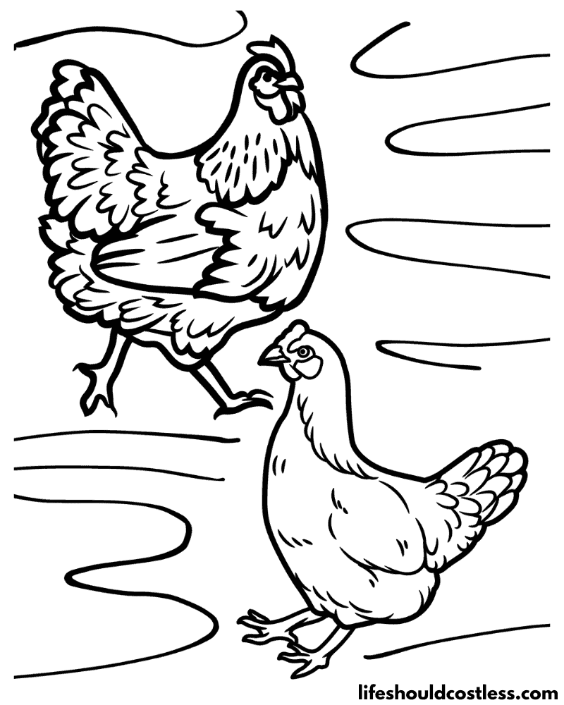 Chicken coloring pages free printable pdf templates